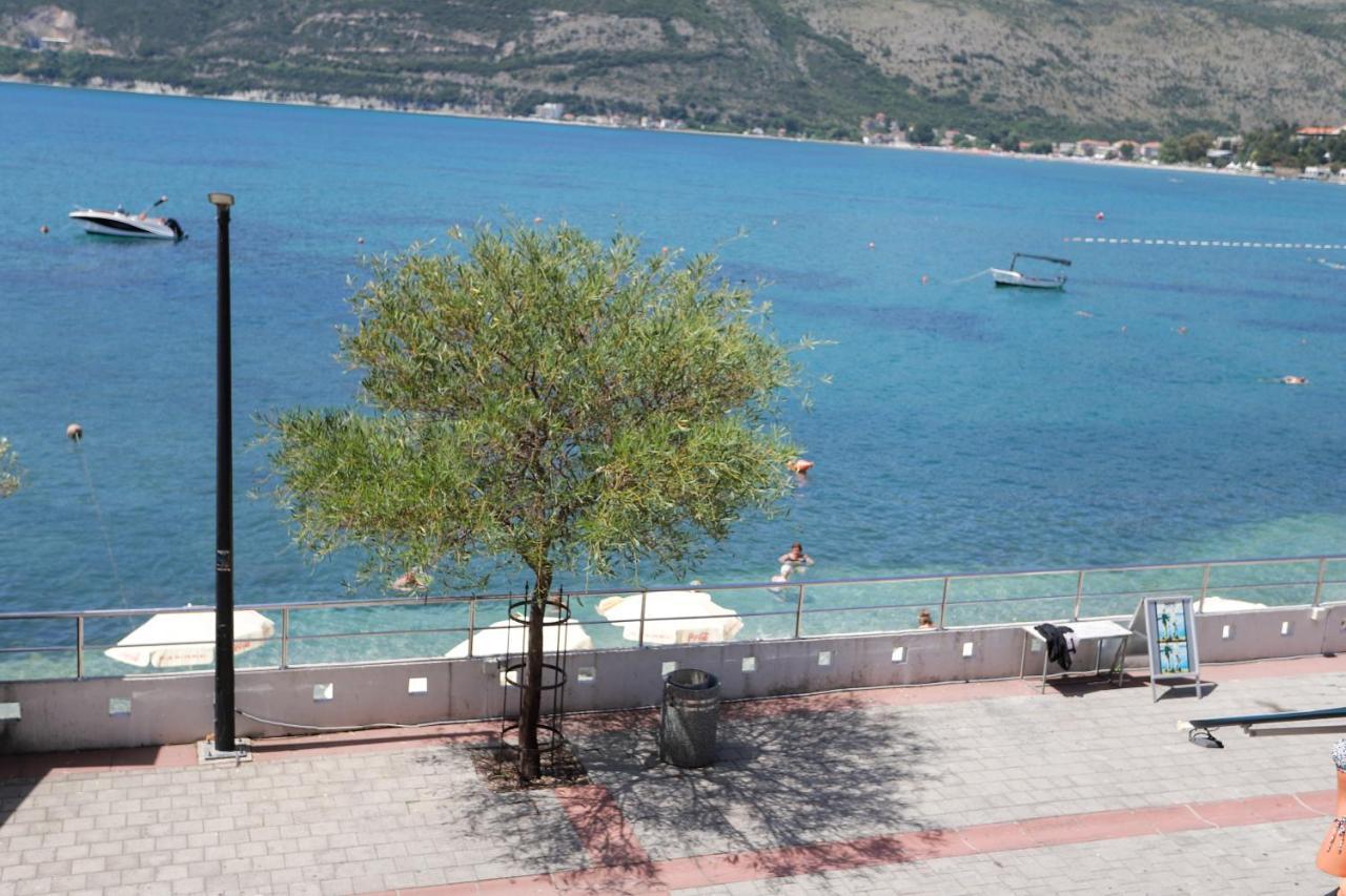 Apartments Cebra Herceg Novi Eksteriør billede